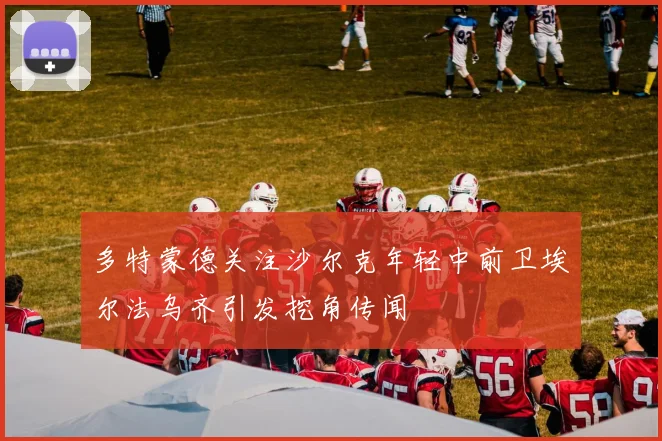 多特蒙德关注沙尔克年轻中前卫埃尔法乌齐引发挖角传闻