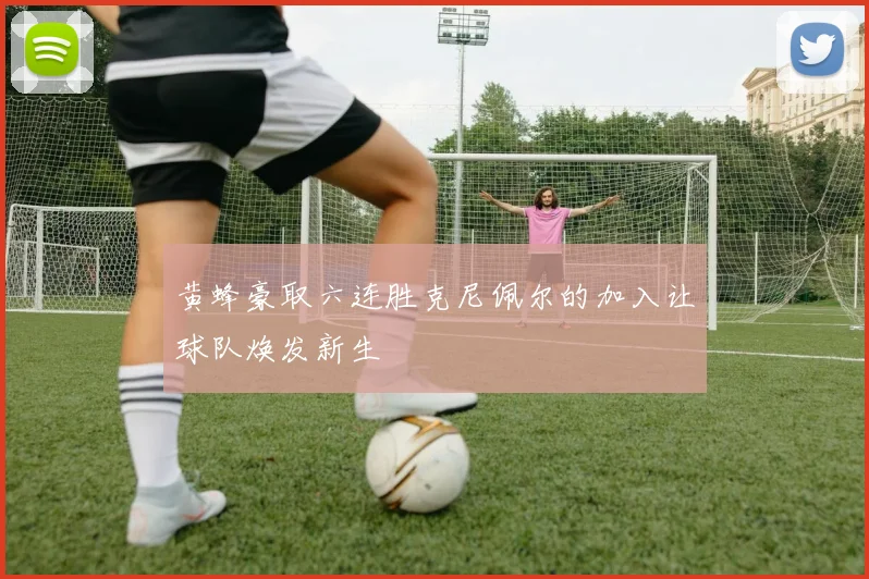 黄蜂豪取六连胜克尼佩尔的加入让球队焕发新生