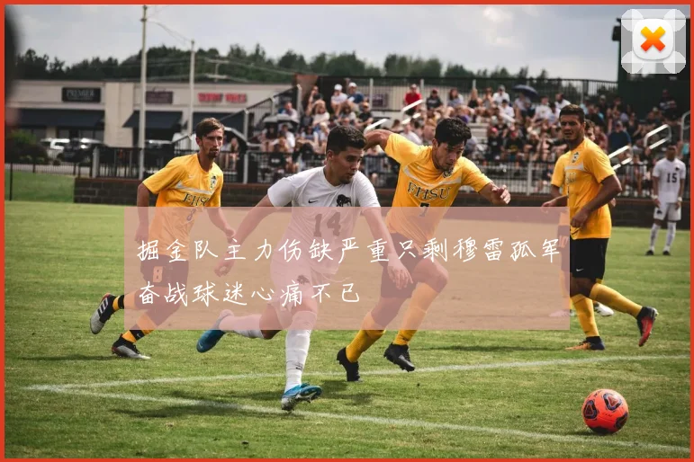 掘金队主力伤缺严重只剩穆雷孤军奋战球迷心痛不已