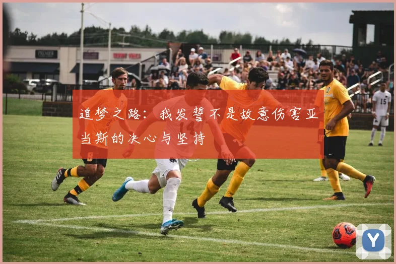 追梦之路：我发誓不是故意伤害亚当斯的决心与坚持