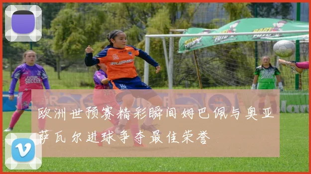 欧洲世预赛精彩瞬间姆巴佩与奥亚萨瓦尔进球争夺最佳荣誉